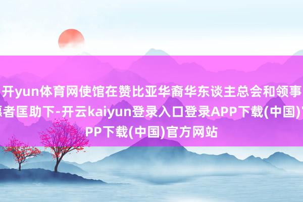 开yun体育网使馆在赞比亚华裔华东谈主总会和领事协助志愿者匡助下-开云kaiyun登录入口登录APP下载(中国)官方网站
