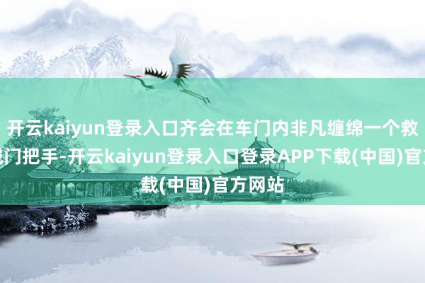 开云kaiyun登录入口齐会在车门内非凡缠绵一个救急机械门把手-开云kaiyun登录入口登录APP下载(中国)官方网站