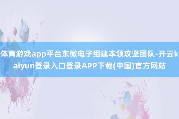 体育游戏app平台东微电子组建本领攻坚团队-开云kaiyun登录入口登录APP下载(中国)官方网站