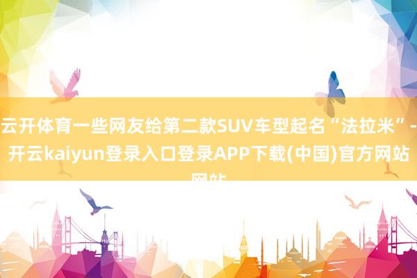 云开体育一些网友给第二款SUV车型起名“法拉米”-开云kaiyun登录入口登录APP下载(中国)官方网站