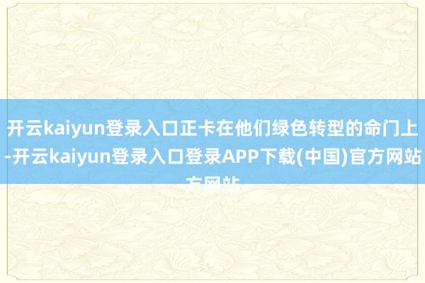 开云kaiyun登录入口正卡在他们绿色转型的命门上-开云kaiyun登录入口登录APP下载(中国)官方网站