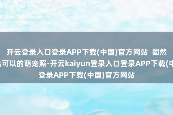 开云登录入口登录APP下载(中国)官方网站  固然手机也能拍出可以的萌宠照-开云kaiyun登录入口登录APP下载(中国)官方网站