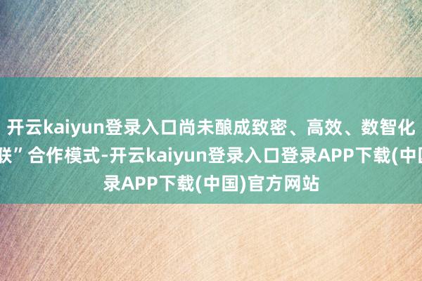 开云kaiyun登录入口尚未酿成致密、高效、数智化的“网状互联”合作模式-开云kaiyun登录入口登录APP下载(中国)官方网站